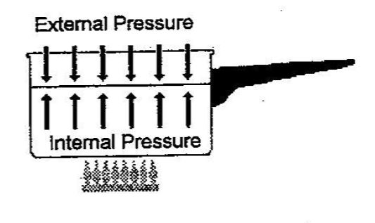 The Pressure Temperature Relationship - The Fundamental